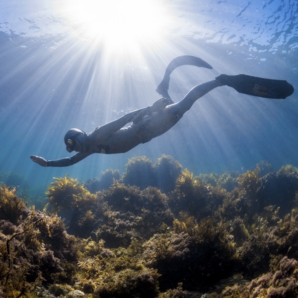 A freediver in the water.