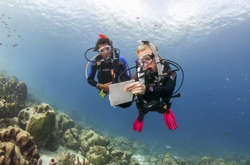 Scuba instruction in the water